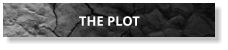 THE PLOT